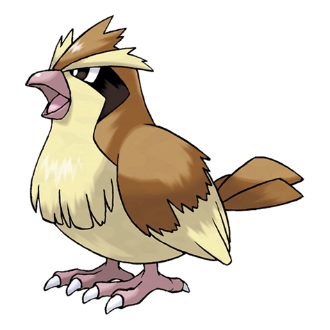 Pidgey