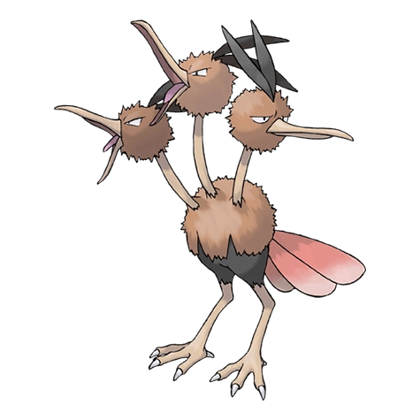 Dodrio