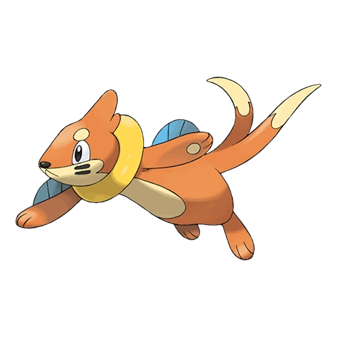 Buizel